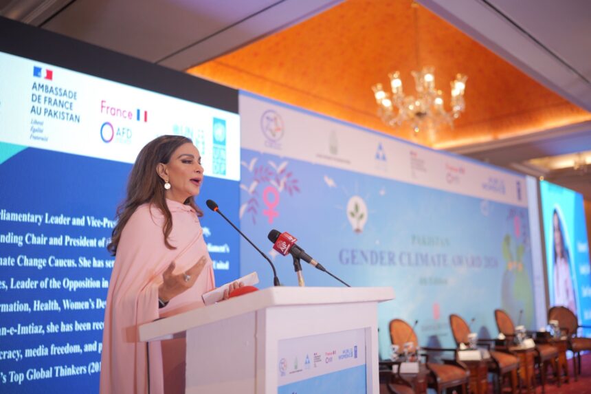 climate resilience - Women Lead Climate Resilience in Pakistan