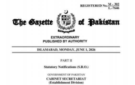 foreign citizenship - New Restrictions on Civil Servants' Foreign Citizenship