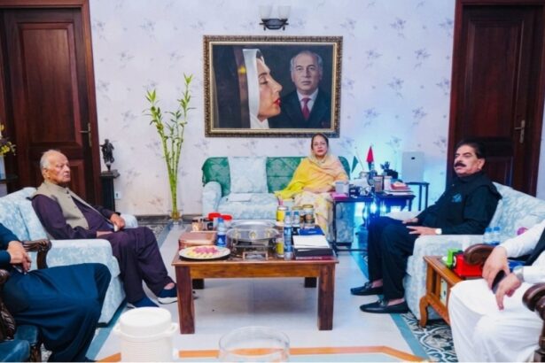 chaudhry riaz - Chaudhry Riaz Meets Faryal Talpur in Islamabad