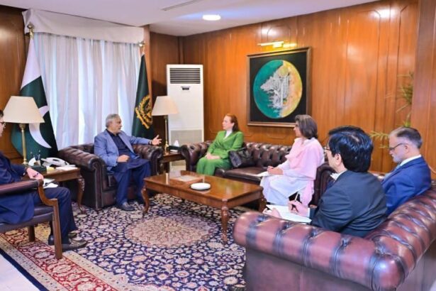 María Fernanda Espinosa meets Ishaq Dar in Islamabad on multilateralism