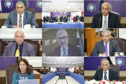 Speakers at ISSI event commemorating Egypt’s Revolution Day