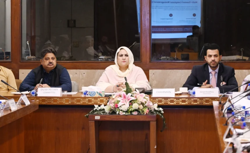 National Assembly Standing Committee on Human Rights meeting on women’s protection and rape prevention measures