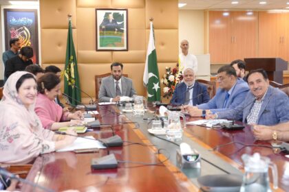 Mustafa Kamal chairs hepatitis C meeting in Islamabad