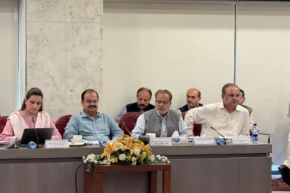 National Assembly standing committee meeting on PIMS nursery fire inquiry