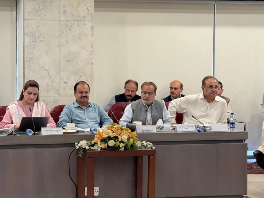 National Assembly standing committee meeting on PIMS nursery fire inquiry