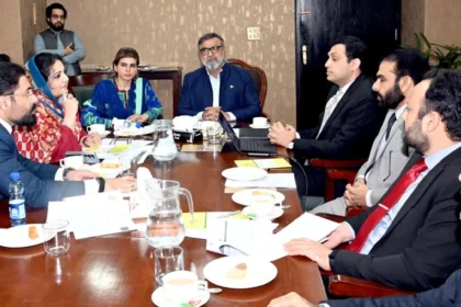 Senate committee meeting at Parliament House on proposed cashless health insurance scheme