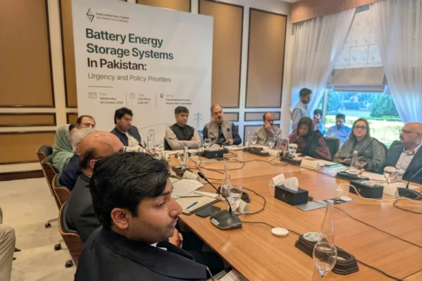 Battery storage units and solar panels representing Pakistan energy storage debate