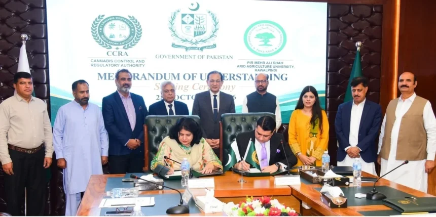 CCRA and PMAS-AAUR representatives signing MoU on cannabis research and regulation
