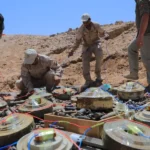 Camouflaged explosive devices and landmines discovered in Yemen