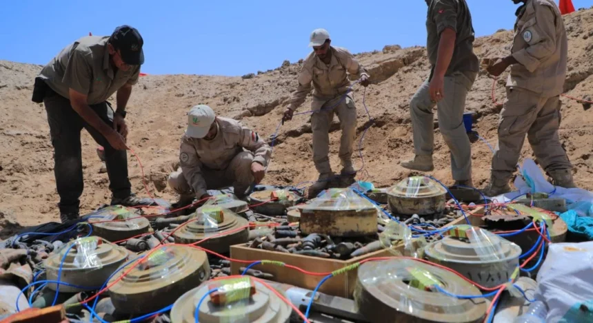 Camouflaged explosive devices and landmines discovered in Yemen